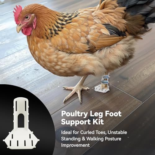 4 Sizes Poultry Leg Support Kit for Chicken, Bird, Duck, Goose