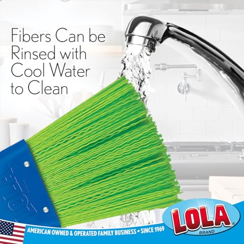 LOLA Heavy Duty Whisk Broom, Hand Brush, 2 Pack Durable Bristles, Whisks Away Dirt & Debris, Compact, Hang Hole for Easy Storage, Indoor/Outdoor - size: 2 Pack, style: 2026 Model