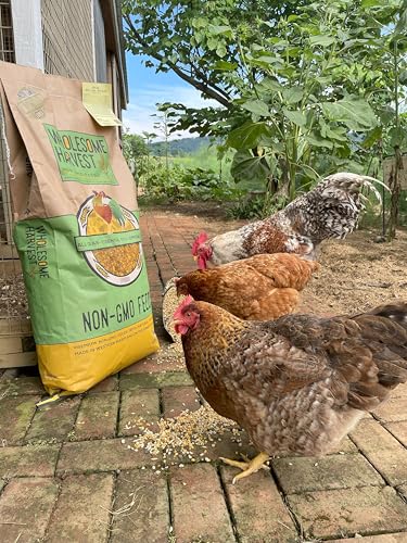 Non-GMO Soy Free-Corn Free Whole Grain Layer Mash (10 lb) - size: 10 Pound (Pack of 1), style: Layer Mash