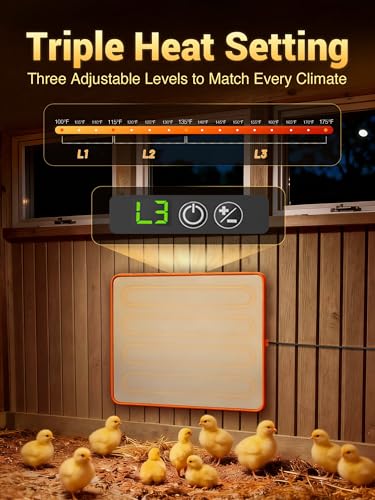 Ficuswin Brooder Heater for 20 Chicks, Chicken Heating Brooder Plate with 3 Adjustable Temp Settings, Safe Coop Heater for Poultry Cage Warmer, 16"x10" Energy Efficient Radiant Heat Pad(ETL Compliant)