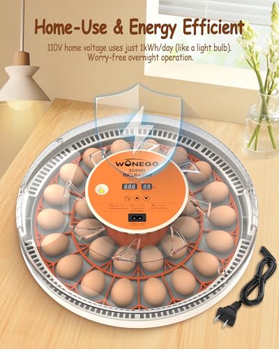 Incubator for Hatching Eggs, 30 Eggs Incubator with Automatic Egg Turning, Temperature Control & Humidity Display, LED Egg Candler, for Chicken, Quail, Parrot Eggs
