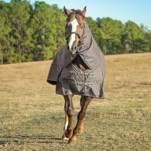 Jeffers Poplar Head Defense 1680 Denier Turnout Blanket with Detachable Neck -Plymouth Brown, 69"- Waterproof, Breathable Horse Blanket with 360g Polyfill, Ideal Protection for Winter, Heavyweight - size: 69 in