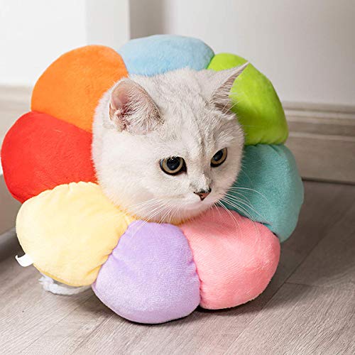 Cat Small Dog Recovery Collar, Cute Neck Cone After Surgery, Adjustable Pet E Collar, Wound Healing Protective Cone Surgery Recovery Elizabethan Collars for Small Pet (XS(Within 3lb)) - size: XS
