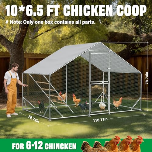 Acepic 10x6.5x6.5ft Metal Chicken Coop with Roosting Perches & Door Lock | Walk-in Poultry Cage with Waterproof & UV Resistant PE Top, Predator-Proof Hen Run for Yard, Farm, Chicken, Duck, Rabbit - size: 118.1"L x 78.7"W x 78.7"H