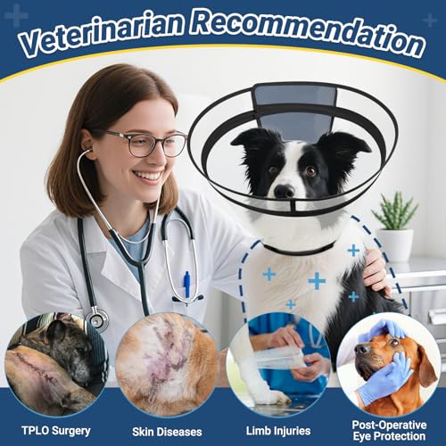 Dog Cone to Stop Licking, Clear Recovery Collar with Detachable Zipper, Sturdy Elizabethan Collar for Large Medium Small Dogs, Soft Adjustable Cone After Surgery Patented, Black M - color: Black, size: M(Neck: 11.75"-13.75")