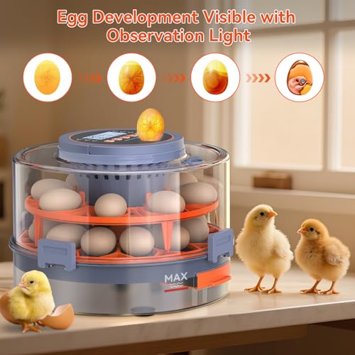 Egg Incubator for Hatching 18 Eggs with Auto Turning, Humidity Sensor, 5 Preset Modes, Transparent Lid for Observation, Ideal for Family Projects, Science Classrooms, Chickens Ducks Quails (Orange)