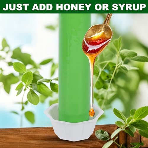 Fly Stick Sticky Fly Traps for Indoors Outdoor 12pk, Sticky Hanging Fly Stick, Flying Insect Trap, wasp Trap (Green 12PCS) - color: Green 12PCS