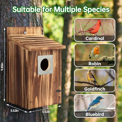 UUMENHA 2 Pack Bird Houses for Outside with Metal Predator Guard | Carbonized Wooden Nesting Boxes for Outdoor, Sturdy Bird House for Bluebird Wren Swallow Finch, ,Easy to Clean