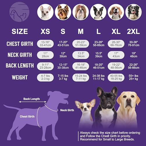 cyeollo Dog Surgery Recovery Suit, Surgical Onesie for Female & Male Dogs | Prevents Licking, Cone Alternative, Ideal After Spay & Neuter, Protects Surgical Wounds, Easy Potty Access, 4-Way Stretch - color: Purple Leopard, size: X-Small (Back: 9"-11")
