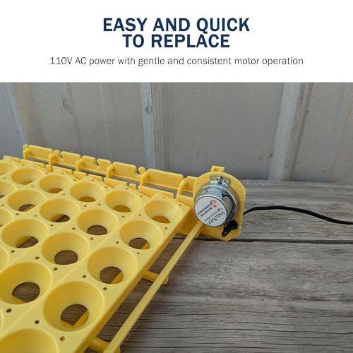 Replacement Egg Turner Motor for Little Giant and HovaBator Egg Turners