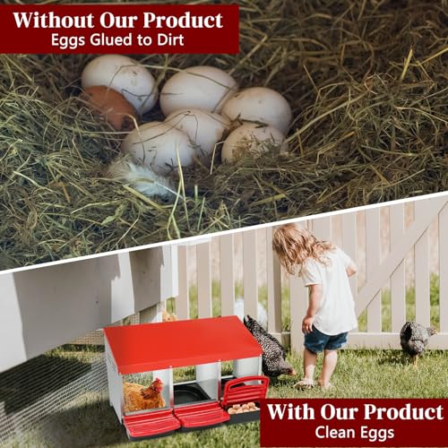 Chicken Nesting Boxes, 3 Compartments, Galvanized Steel | Roll Away Laying Nest Box, Removable Egg Drawer, Protects Eggs, Easy Egg Collection