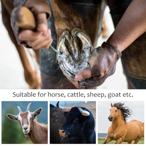VANZACK 2Pcs Horse Hoof Trimmer Stainless Steel Horseshoe File Tool with Wooden Handle Portable Hoof Repair Tool for Cleaning Uneven Edges and Smoothing Surface