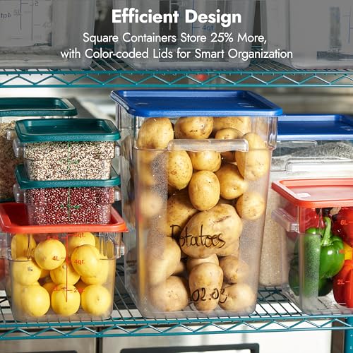 CURTA 8-Pack 22 Qt NSF Clear Polycarbonate Food Storage Containers with Blue Lids - Square, Commercial-Grade, Freezer & Dishwasher Safe, Stackable - color: 22.0 Qt 8-Pack(Blue Lids)