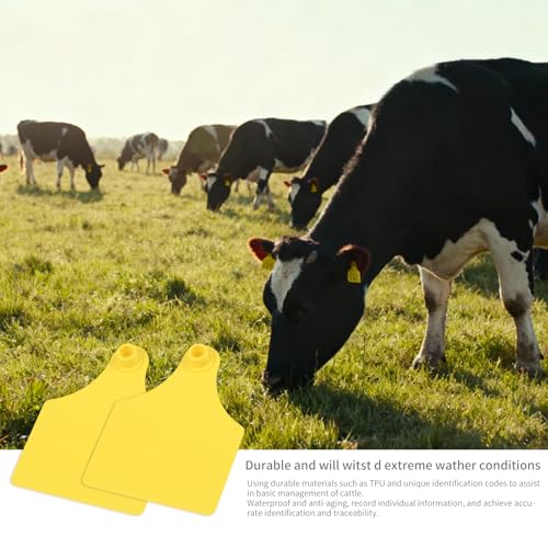 50pcs Farm Animal Ear Tags Numbered 001-050 Livestock Identification for Cattle Cows Hogs Pigs Sheep Goats (50, Large-Yellow) - color: Large-yellow
