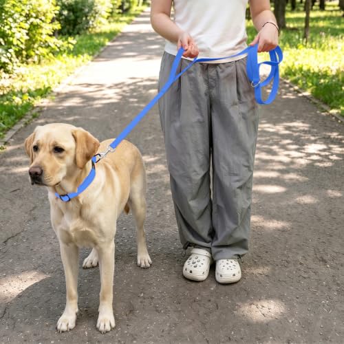 Waterproof Dog Leash with Double Handle, 6 FT Durable Odor-Proof Dog Leashes with Strong Aviation Aluminum Hooks Fits Small Medium or Large Dogs - color: Blue, size: 6FT - Double Handle