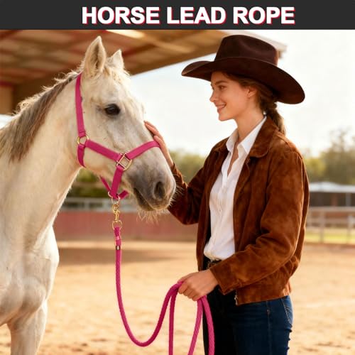 5/8" x 8' Nylon Horse Lead Rope (Peach Pink) | Durable nylon material, cast iron hardware, ideal for daily use, training and showing. - color: Peach Pink