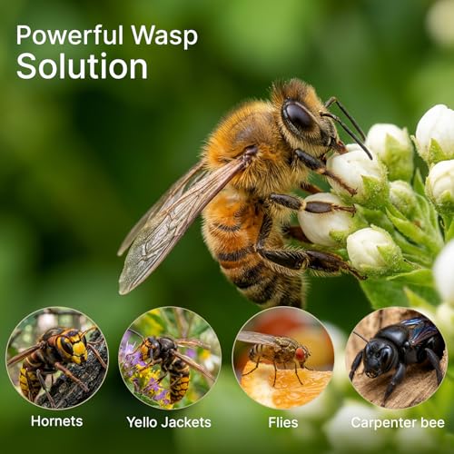 SheeChung [2026 Upgraded] Wasp Traps Outdoor Hanging - 2 Pack
