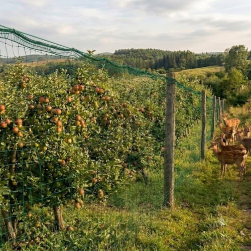 Junflying 4x100 FT Deer Fence Netting, 1/2” Garden Fence Animal Barrier | Woven Temporary Plastic Mesh Netting for chicken, poultry garden protection. Shield vegetables & fruit trees from wildlife.