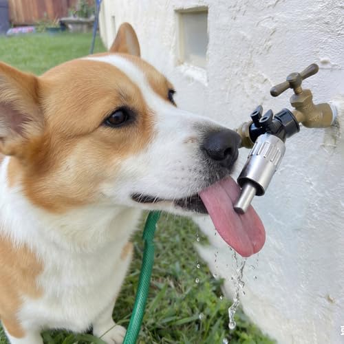 Qinyoung 1 Pack Dog Waterer Faucet, 3/4" Hose Spigot Attachment Outdoor | Lick-activated Fountain Design, Anti-leak Tape Included, For Dogs Livestock Pets, Metal Construction, Outdoor Yard Use