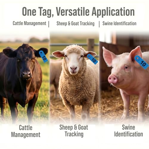 TPU Livestock Ear Tags100pcs 01-50 Number with Ear Tagger Pliers Tool, Green & Red Numbered Animal ID Tags for Sheep Goat Cattle Pig, Durable Farm Identification Tools (50 Pcs Each Color) - color: Blue and Yellow