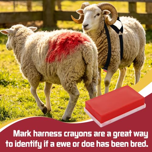 Ram Breeding Marking Harness for Sheep & Goat, 3 Pack Mating Crayon Block | Marker with Heavy-Duty Nylon Adjustable Straps, Heat Detection & Mating Record Tool, Farm Livestock Breeding Equipment - color: Red