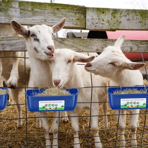 Chicken Feeder Waterer, 6 Pack Duck Feeder Supplies, Hanging Fence Feed Trough with Clips for Goat, Sheeple, Piglet, Gooses, Turkeys, Dog Livestock Poultry, Blue - color: 6 pack Blue