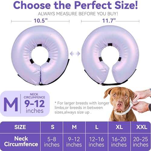 Inflatable Dog Cone Collar - Donut Collar Recovery ECollar Alternative After Surgery - Soft Dog Cone for Small Medium Large Dogs - size: Medium [Neck:9"-12"]