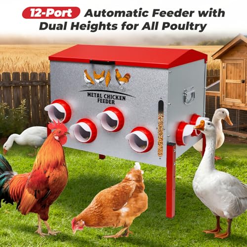 Automatic Chicken Feeder 100LBS Large Capacity, 12 Anti-Waste Ports Metal Poultry Feeder with Height Adjustable Stand, Waterproof Rodent Proof Feed Box with Lid Viewing Window for Hens Ducks Geese - size: 100LBS