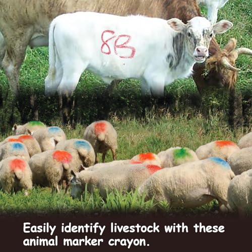 MESINURS Animal Marker Crayon for Pig, Cow, Goat - Livestock Paint Pens, Non Toxic Color Marking, Washable (red+Blue+Green+Yellow+Purple)