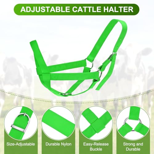 M METERXITY 2-Pack Adjustable Cattle Cow Calf Halter, 15.74"-19.68" Nylon Livestock Cow Halter for Miniature Horse/Donkey/Goat/Cattle [Green]