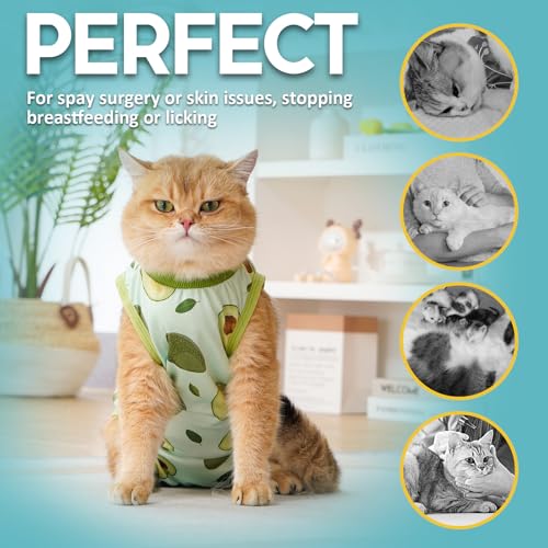 Avont Cat Recovery Suit - Kitten Onesie for Cats After Surgery | Stop Licking, Protects Stitches, S: Neck 8.5"-10.2"/Chest 11.5"-13"/Back 8", Soft & Breathable, Hook & Loop, Avocado - color: Avocado, size: Small