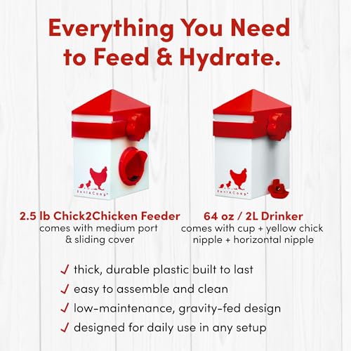 RentACoop Chick2Chicken 2.5lb Medium Port Feeder and 64oz Drinker Set