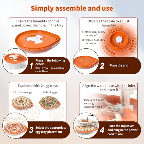 Incubators for Hatching Eggs, FAMEWARE 26 Egg Incubator with Voice Control, Auto Turning, Auto Humidity, °F/°C Switch & Egg Candler, Fits Chicken Bird Eggs - Orange - color: Orange