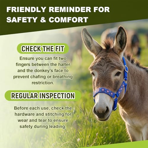 1 Set Mini Donkey Halter with Lead Rope Adjust, Blue | Nylon Head Collar, Cute and Stylish, for Miniature Donkey and Small Equines, Farm Ranch Pasture Outdoor, Gingham Plaid Trim - color: blue