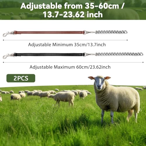 Misdary 2 Pcs Goat Show Collars, Adjustable 14"-24" Iron Chain Halter for Sheep, Horses, Dogs, Cows & Calves, Farm Animal Supplies Accessories Animal Lovers Gift (14'',Black,Brown) - color: Black, Brown