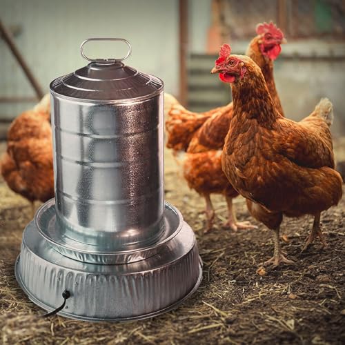 Farm Innovators 125 Watt Heated Base for Double Wall Metal Poultry Founts with 35 Degrees Fahrenheit Temperature and Below, 3 Pack, Metallic