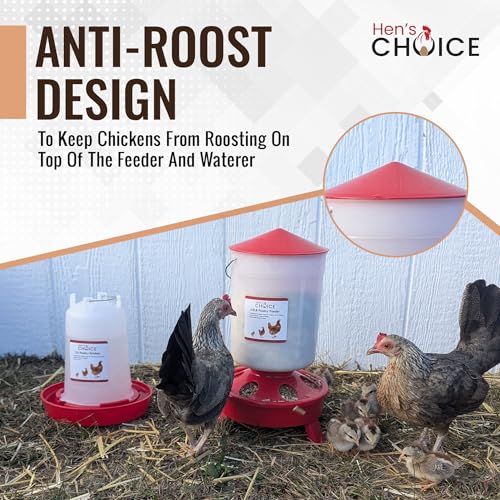 Hen's Choice™ Chick Feeder and Waterer Set, 6.5 lb Feeder, 1.5 L Waterer