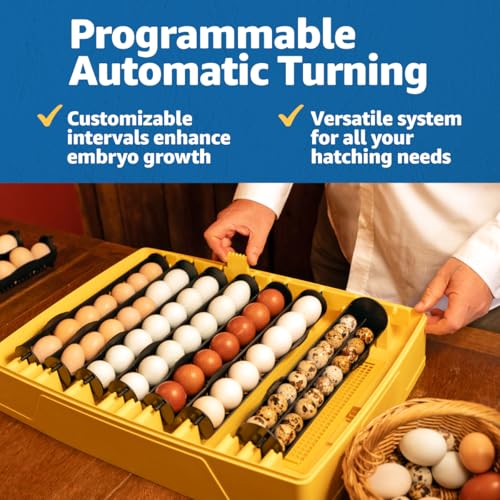 Brinsea Ovation 56 EX Egg Incubator, Automatic Turning & Humidity Control | 50+ years of trusted precision! Built-in automatic humidity, auto-turn & temp alarms take the stress out of hatching 56 eggs - style: Not Connected