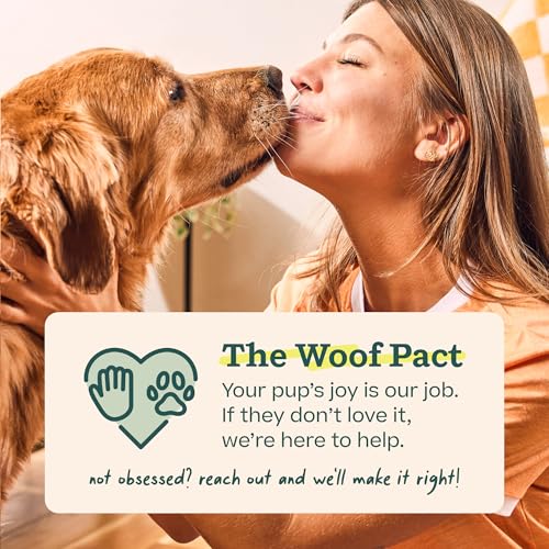 Woof LickMat, Slow Feeder Mat for Dogs, Lavender | Built-in mixing bowl, BPA-free silicone, non-slip suction cups, dishwasher safe, easy to clean - color: Lavender