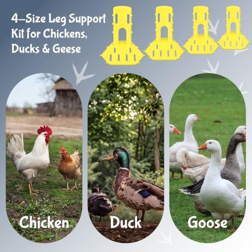 Xuhal 8 Pack Poultry Leg Support Kit with Toe Separator & Bandage 4 Sizes Chicken Splint for Broken Feet & Curled Toes Fixing Fractures, Curled Toes, Bumblefoot in Ducks, Chickens, Geese(Yellow) - color: Yellow