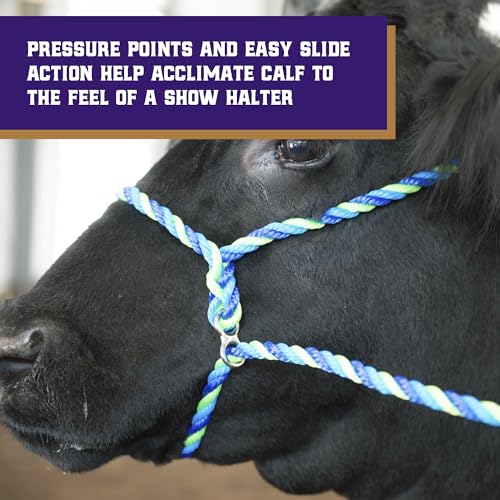 Weaver Leather Livestock Kirk Stierwalt Breaking Halter,Black,8 1/2' - color: Black