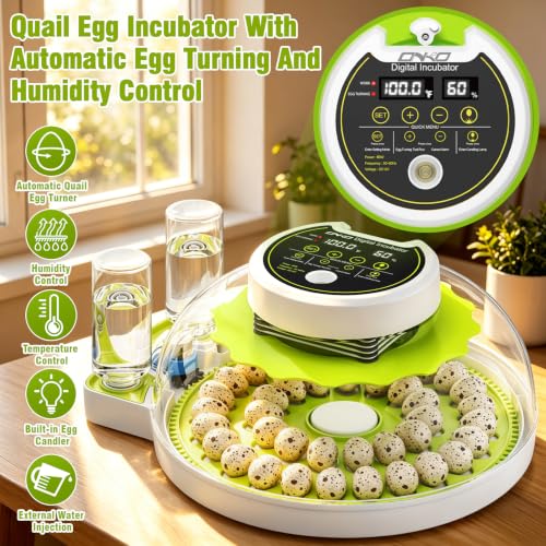 Quail Egg Incubator with Automatic Turner and Humidity Control | Quail Incubators for 40 Hatching Eggs,Outdoor Poultry Egg Incubator, Suitable for Parrot Canary and Other Bird - color: Green