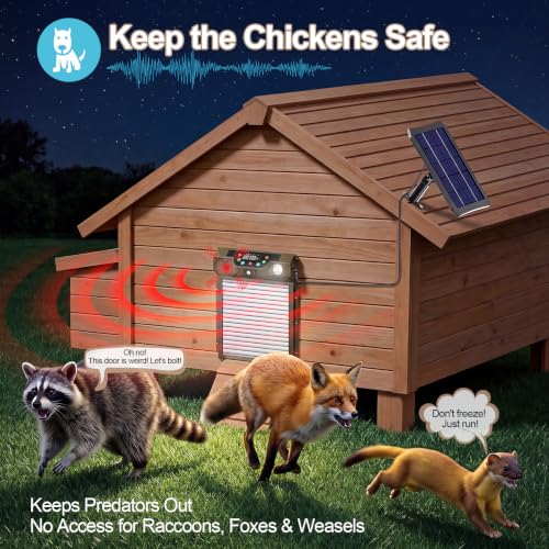 Automatic Chicken Coop Door Solar Powered, Roll-Up Chicken Door with Timer & Light Sensor, Anti-Pinch Safety Auto Chicken Door with Remote Control, Weatherproof for Outdoor