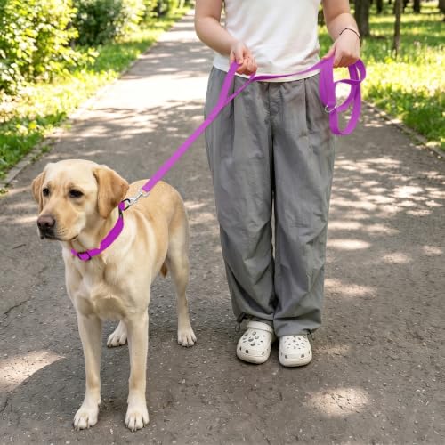 Waterproof Dog Leash with Double Handle, 6 FT Durable Odor-Proof Dog Leashes with Strong Aviation Aluminum Hooks Fits Small Medium or Large Dogs - color: Purple, size: 6FT - Double Handle