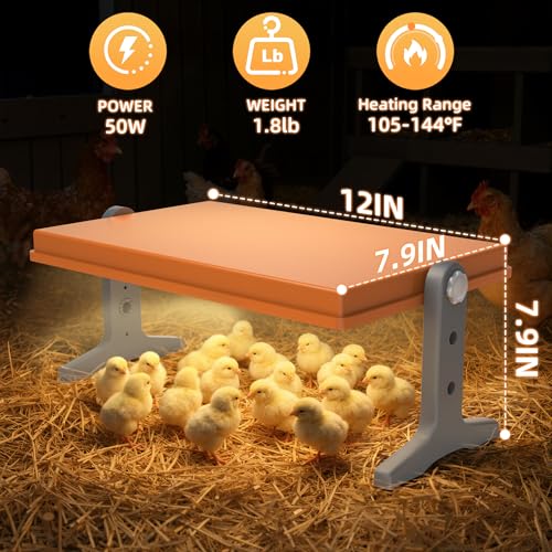 Chick Brooder Heater Plate, 12"x7.9" Warm Brooder Plate for Chicks Poultry | Chicken Brooder with Adjustable Height, Angle & Temperature, 50W Heat Plate for Chicks Poultry, Warm like Mother Hen