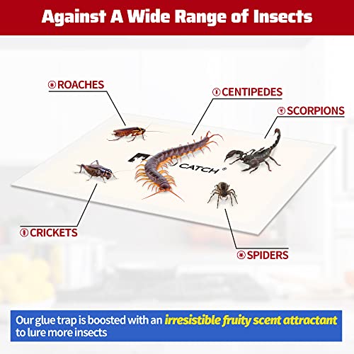 LULUCATCH Cricket Insect Glue Traps - 6 Pack Bug Cockroach Sticky Traps, Large Spider Trap with Pre-Baited Attractant, Highly Effective Glue Boards Indoor, Non-Toxic Pet Safe, Easy to Use - size: 6 Pack