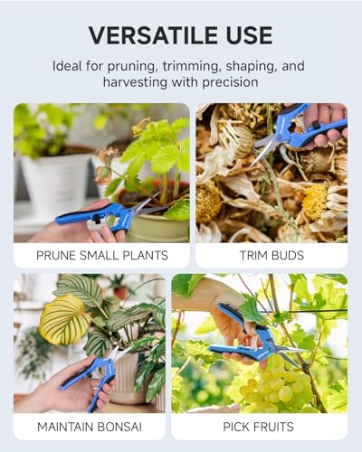 Fondwell 6.5" Gardening Scissors Trimming Shears: 2 Pack of Trimming Scissors for Buds - Comfortable Hand Pruners with Curved Blades | Plant Pruners Snips, Ultra-Sharp Micro-Tip Curved Blades, Comfortable Use, Safety - Best for Precision Cuts in Tight Spa