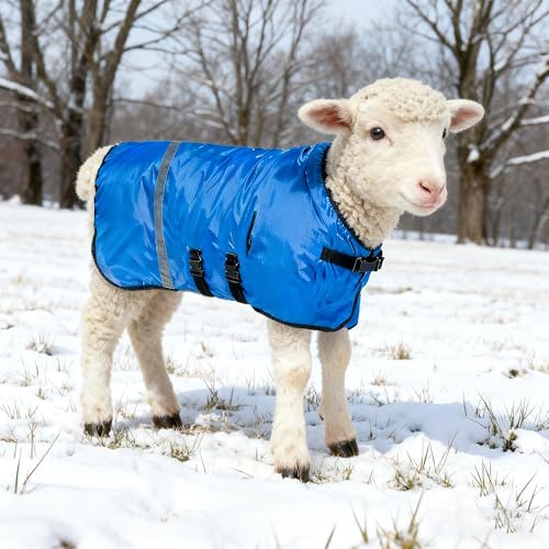 2pcs All-Weather Calf Blanket with Fleece Lining & Windproof Shell - Versatile Goat Blankets for Winter and Durable Sheep Blanket with Full Belly Coverage (Blue 2pcs) - color: Blue