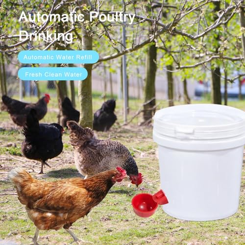 Chicken Water Cups, 8pcs Automatic Chicken Water Feeder, Poultry Waterer Kit Suitable for Chicks, Duck, Goose, Turkey and Bunny, 8-Pack