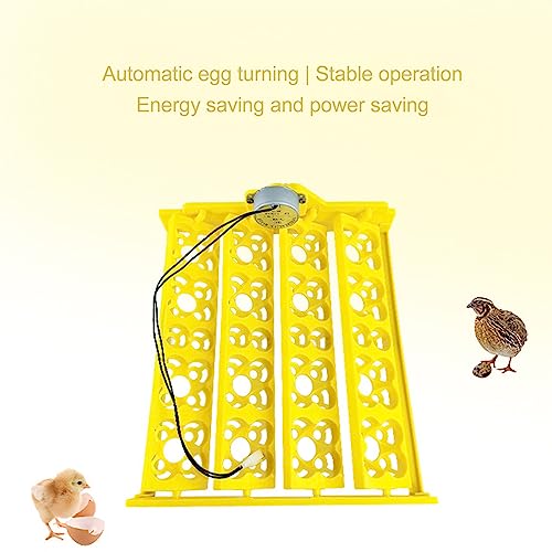 Egg Turning Tray, Incubator Chicken Multifunction Automatic Turner Tray Quail Incubation, Incubators for Hatching Eggs (DC12V) - size: DC12V